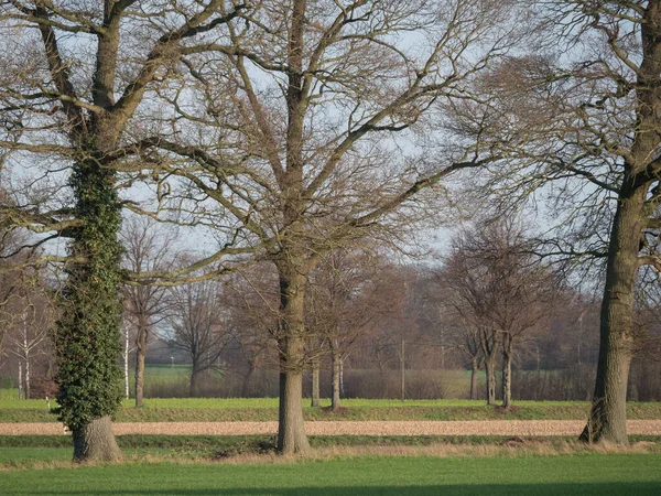 Anfang Dezember Münsterland — Stockfoto