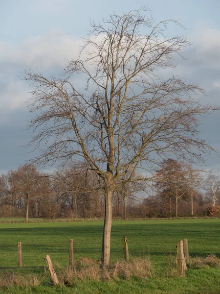 Begin December Het Duitse Muensterland — Stockfoto