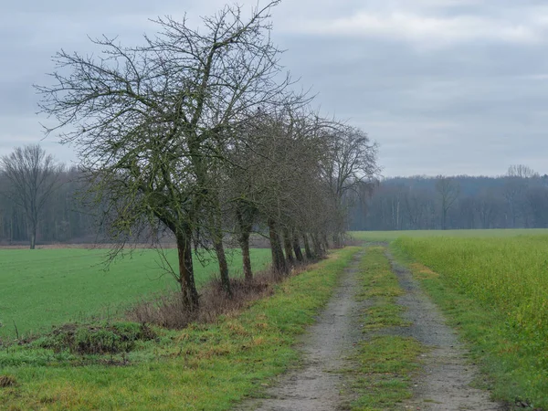 Wędrówki Niemieckich Baumbergach — Zdjęcie stockowe