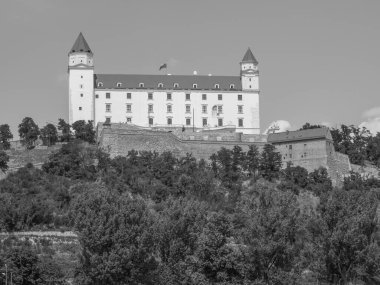 Bratislava şehri Danube nehrinde