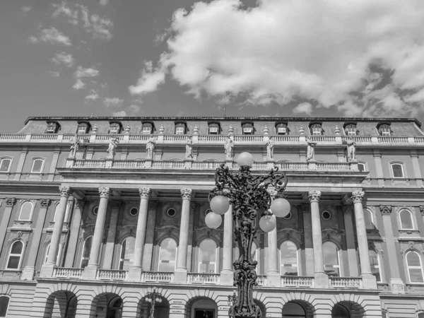 Ville Budapest Bord Danube — Photo