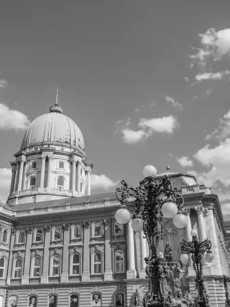 Budapest Városa Danube Folyónál — Stock Fotó