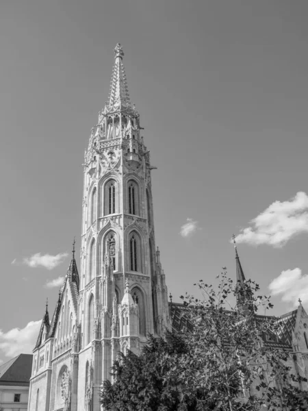 Stad Budthe Aan Rivier Danube — Stockfoto