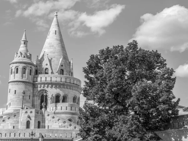 City Budapest Danube River — Stock Photo, Image