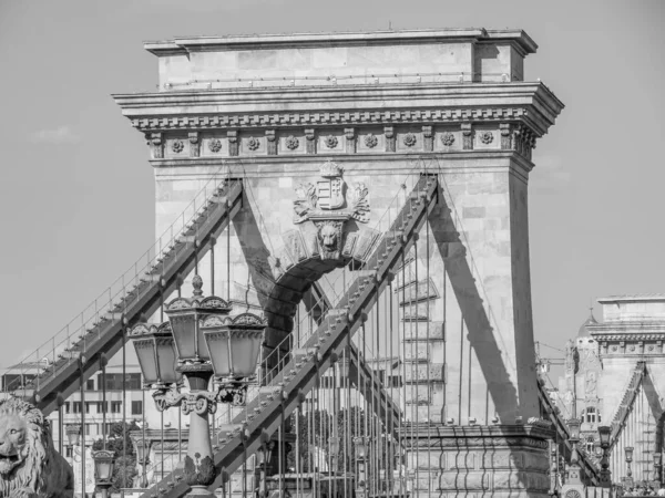 Staden Budapest Vid Floden Danube — Stockfoto