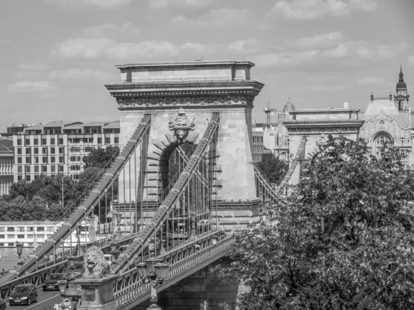 Ville Budapest Bord Danube — Photo