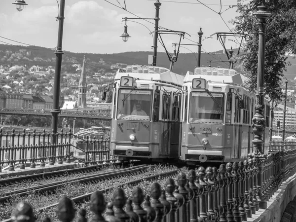 Ville Budapest Bord Danube — Photo