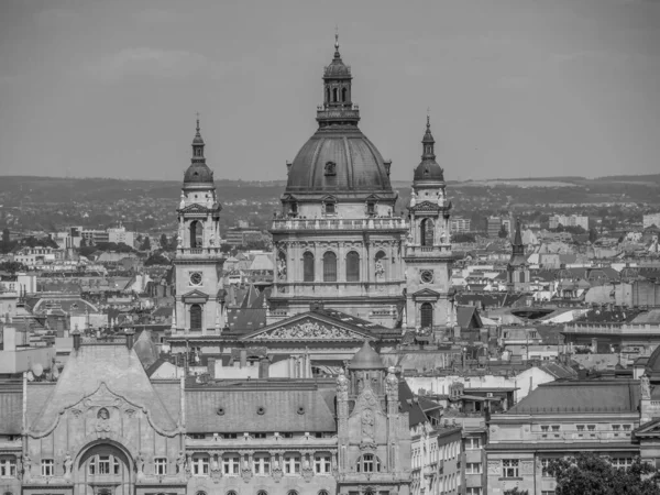 Ciudad Budapest Río Del Danubio —  Fotos de Stock