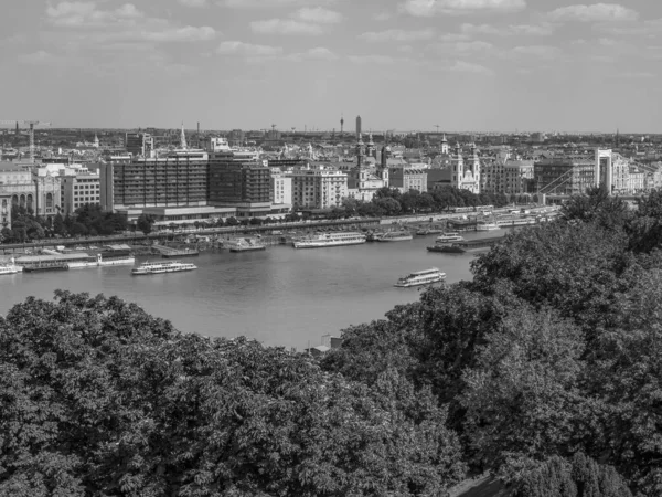 Ville Budapest Bord Danube — Photo