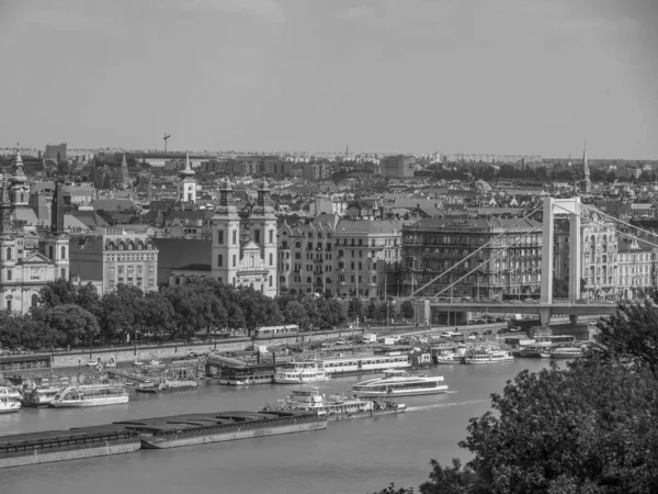 Ciudad Budapest Río Del Danubio —  Fotos de Stock