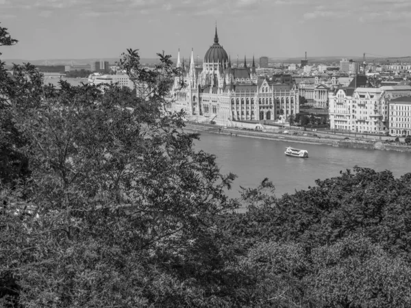 Город Budapest Реке Данубе — стоковое фото