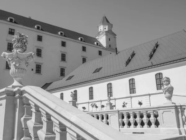 Ciudad Bratislava Río Danubio — Foto de Stock