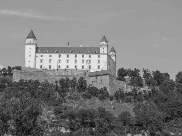 Bratislava şehri Danube nehrinde