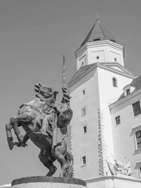 Bratislava Şehri Danube Nehrinde — Stok fotoğraf