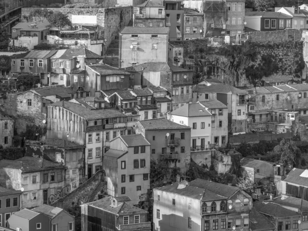 Douro Nehri 'ndeki Porto şehri.