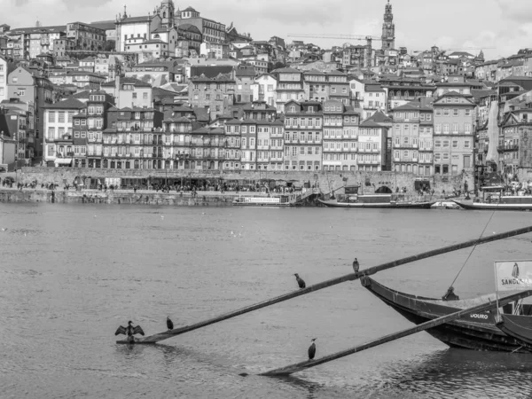 Porto Városa Douro Folyónál — Stock Fotó