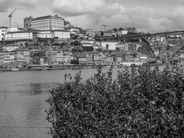 Cidade Porto Rio Douro — Fotografia de Stock