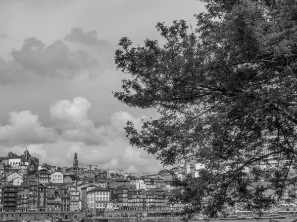 Город Порту Реке Дору — стоковое фото