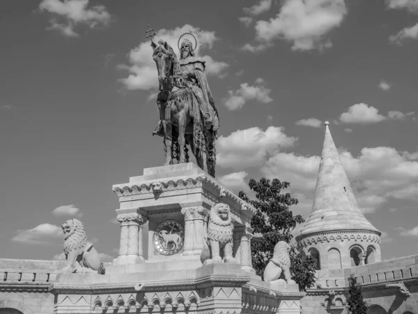 Ciudad Budapest Río Del Danubio Hungary — Foto de Stock