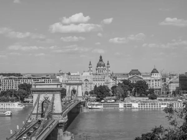 Ciudad Budapest Río Del Danubio Hungary —  Fotos de Stock