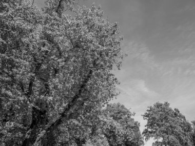 Hollanda 'daki küçük Bredevoort şehri.