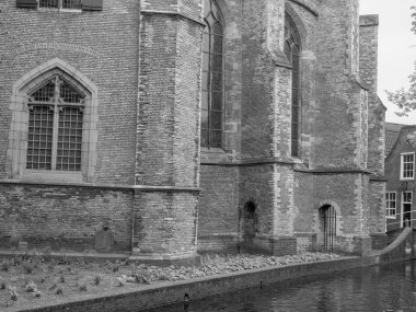 Alman Alkmaar ve Delft şehirleri