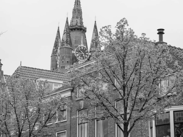 Les Villes Hollandaises Alkmaar Delft — Photo