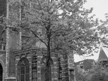 Alman Alkmaar ve Delft şehirleri