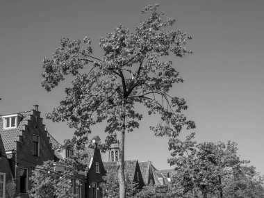 Alman Alkmaar ve Delft şehirleri