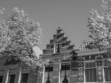 Alman Alkmaar ve Delft şehirleri