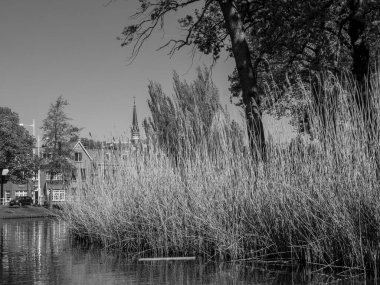 Hollanda 'daki Alkmaar