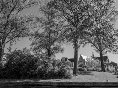 Hollanda 'daki Alkmaar