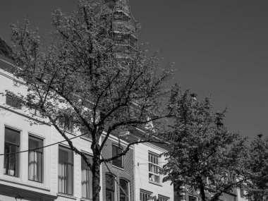 Hollanda 'daki Alkmaar