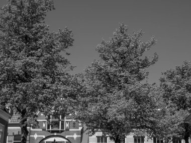 Hollanda 'daki Alkmaar