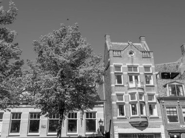 Hollanda 'daki Alkmaar