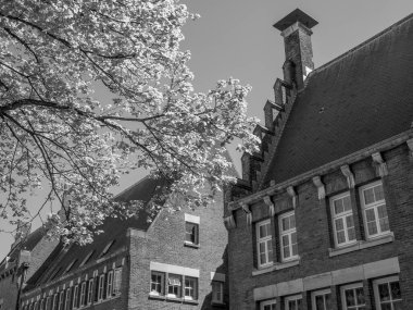 Hollanda 'daki Alkmaar