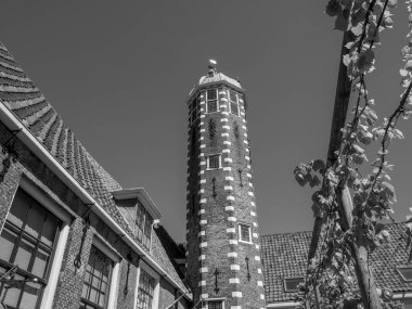 Hollanda 'daki Alkmaar