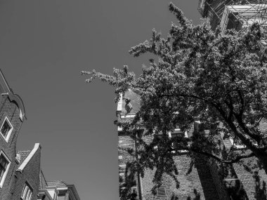 Hollanda 'daki Alkmaar