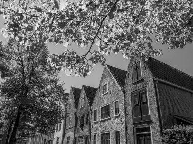 Hollanda 'daki Alkmaar