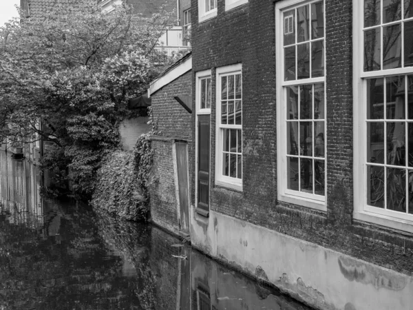 Holandská Města Alkmaar Delft — Stock fotografie