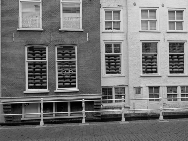 Alman Alkmaar ve Delft şehirleri