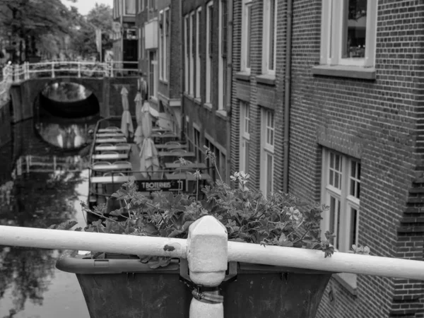 Ολλανδικές Πόλεις Της Alkmaar Και Delft — Φωτογραφία Αρχείου
