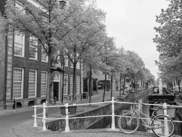 Dutch Cities Alkmaar Delft — Stock Photo, Image