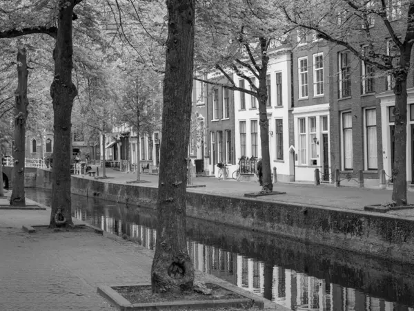 Holandská Města Alkmaar Delft — Stock fotografie