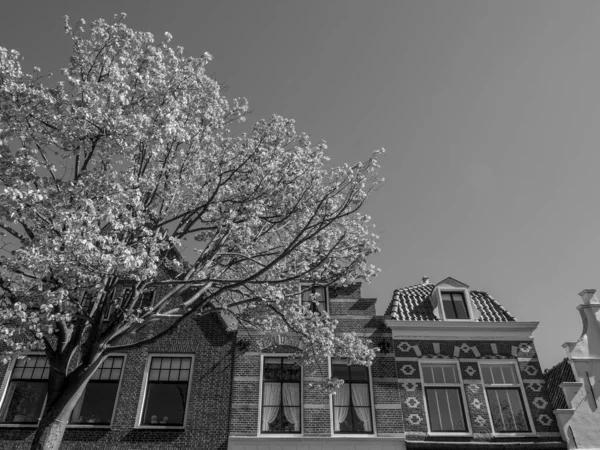 Holenderskie Miasta Alkmaar Delft — Zdjęcie stockowe