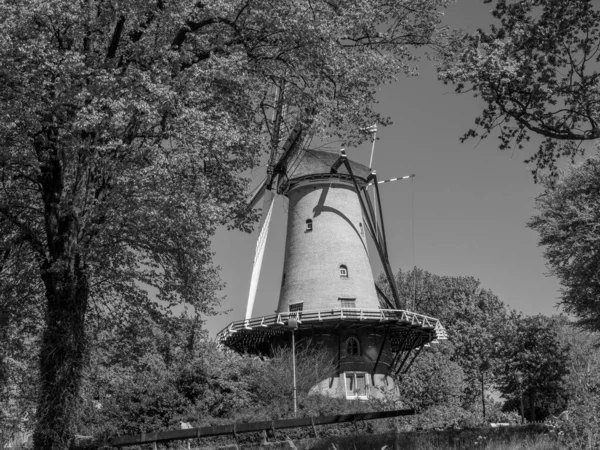 Alkmaar Dolnej Części Kraju — Zdjęcie stockowe