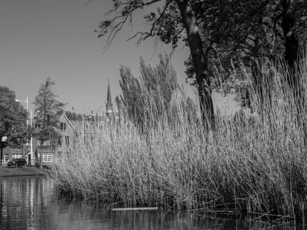 Hollanda 'daki Alkmaar