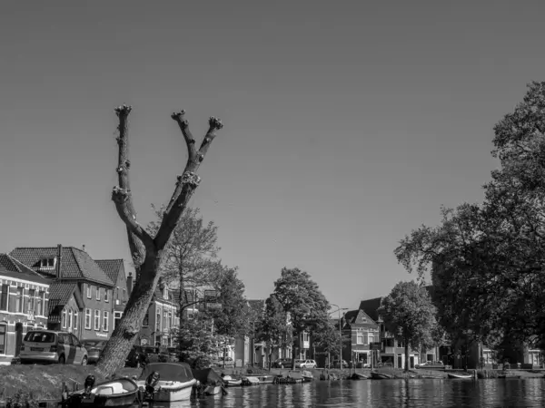 Hollanda Daki Alkmaar — Stok fotoğraf