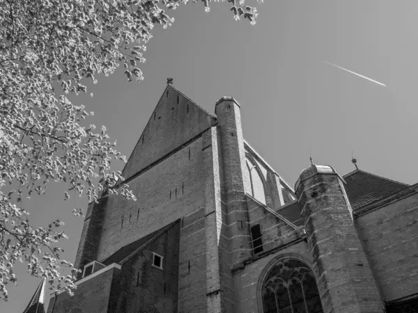 Alkmaar Den Niederlanden — Stockfoto