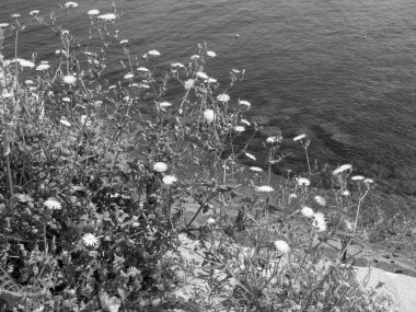 Akdeniz 'deki Malta Adası